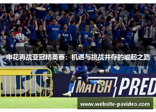 申花再战亚冠精英赛：机遇与挑战并存的崛起之路