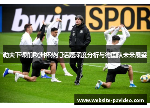 勒夫下课前欧洲杯热门话题深度分析与德国队未来展望