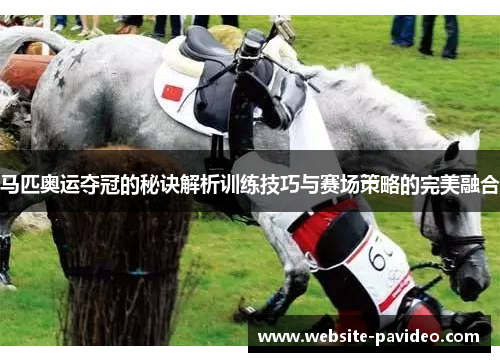 马匹奥运夺冠的秘诀解析训练技巧与赛场策略的完美融合